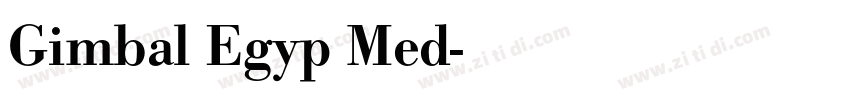 Gimbal Egyp Med字体转换